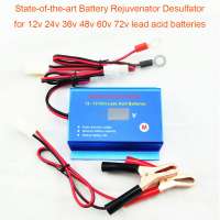 battery desulfator rejuvenator for 12V 24V 36V 48V 60V 72V lead acid batteries